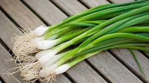 Jeunes oignons bio (botte)