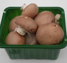 Champignon brun ou blanc bio 300gr