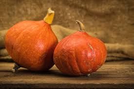 Potimarron bio (kg)
