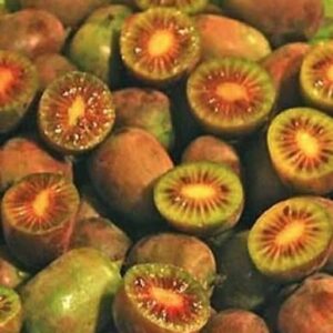 Petits kiwis ravier 125gr